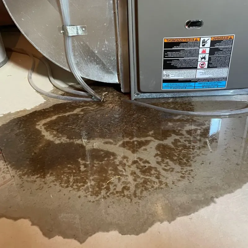 Pipe Burst and Leak Restoration in Knox, IN