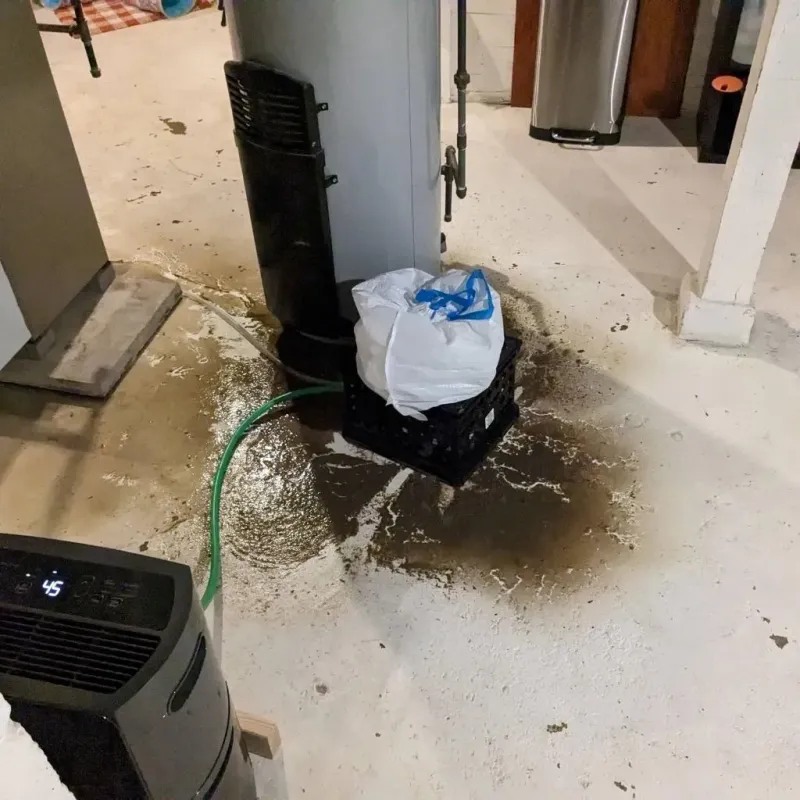 Sewage Backup Cleanup Service in Knox, IN